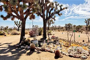 4990 Elata Ave, Yucca Valley, CA 92284 - Photo 31