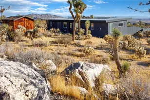 7835 Conejo Ave, Joshua Tree, CA 92252 - Photo 51