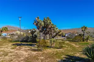 5437 Paradise View Rd, Yucca Valley, CA 92284 - Photo 43