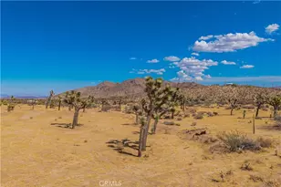 3945 Bonita Ave, Yucca Valley, CA 92284 - Photo 47