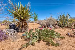 59025 La Brisa, Yucca Valley, CA 92284 - Photo 41
