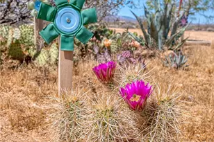 59025 La Brisa, Yucca Valley, CA 92284 - Photo 57