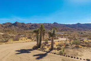 8715 Desert Shadows Rd, Joshua Tree, CA 92252 - Photo 53