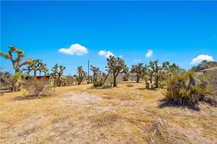 58662 Buena Vista Dr, Yucca Valley, CA 92284 - Photo 35