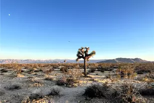 1010 Celeste Rd, Joshua Tree, CA 92252 - Photo 1