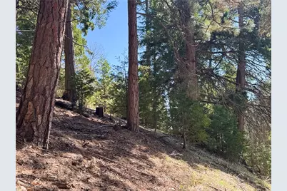 0 North Road, Twin Peaks, CA 92391 - Photo 5