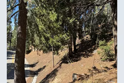 0 North Road, Twin Peaks, CA 92391 - Photo 3