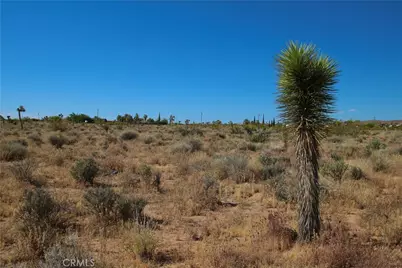 49 Aberdeen Drive, Yucca Valley, CA 92284 - Photo 11