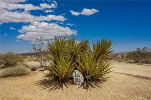 55921 Ornelas Ln, Landers, CA 92285 - Photo 27