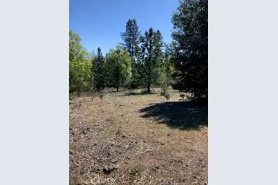 6736 Harrington Flat Road, Loch Lomond, CA 95461 - Photo 11