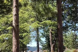 8833 Fox Dr, Cobb, CA 95426 - Photo 1