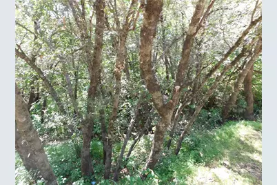 15773 39th Avenue, Clearlake, CA 95422 - Photo 3