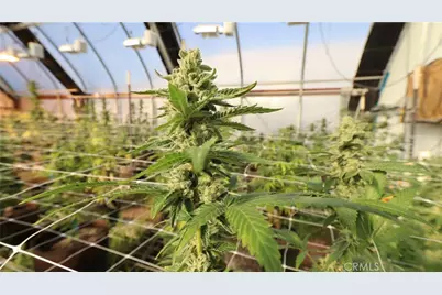 [Address not provided], Kelseyville, CA 95451 - Photo 21