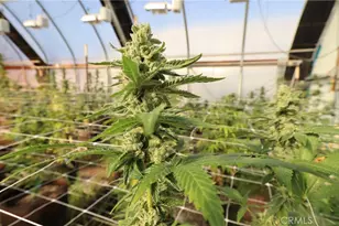 [Address not provided], Kelseyville, CA 95451 - Photo 21