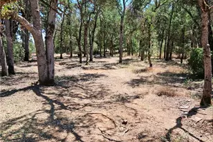 16288 12th Ave, Clearlake, CA 95422 - Photo 1