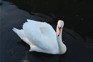 12762 Shoreview Dr, Clearlake Oaks, CA 95423 - Photo 9