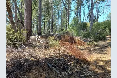 16102 Sugar Pine Ridge Road, Cobb, CA 95426 - Photo 7