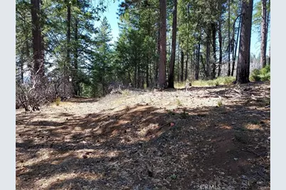 16102 Sugar Pine Ridge Road, Cobb, CA 95426 - Photo 5