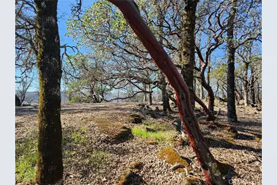 17934 Moon Hill Court, Hidden Valley Lake, CA 95467 - Photo 3