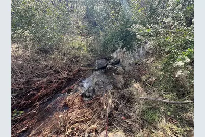 16090 Maple Street, Cobb, CA 95426 - Photo 7