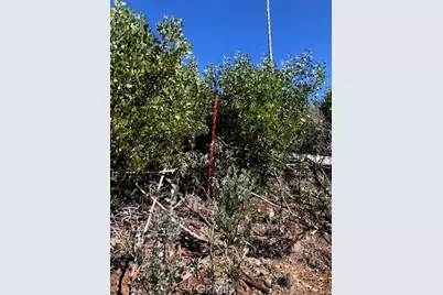 15260 Evergreen Drive, Cobb, CA 95426 - Photo 17