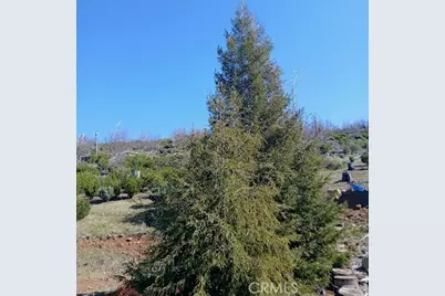 15260 Evergreen Drive, Cobb, CA 95426 - Photo 7