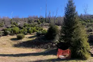 15260 Evergreen Dr, Cobb, CA 95426 - Photo 1