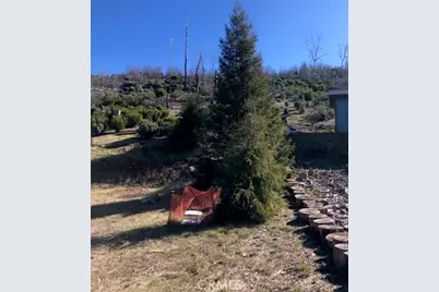 15260 Evergreen Drive, Cobb, CA 95426 - Photo 5