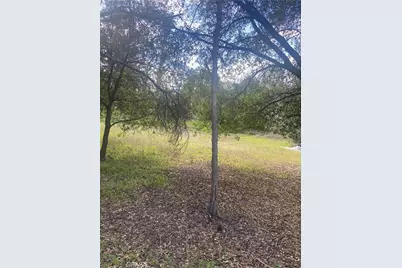 7005 Marin Street, Nice, CA 95464 - Photo 7