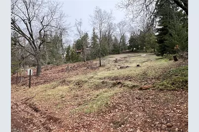 9530 St Helena Drive, Cobb, CA 95426 - Photo 3