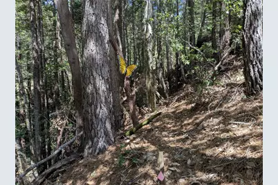 38160 Ocean Ridge Drive, Gualala, CA 95445 - Photo 19