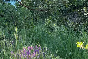 6705 Floyd Way, Nice, CA 95464 - Photo 1