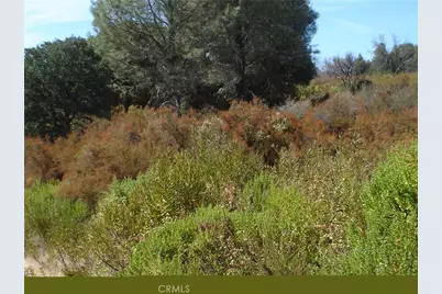 16344 4th Avenue, Clearlake, CA 95422 - Photo 3