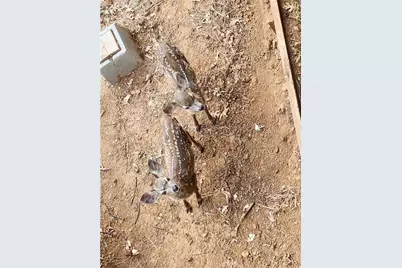 3062 Riviera Heights Drive, Kelseyville, CA 95451 - Photo 45