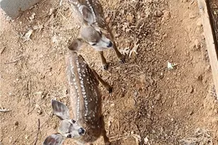 3062 Riviera Heights Dr, Kelseyville, CA 95451 - Photo 45