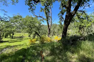 8734 Sulphur Creek Rd, Kelseyville, CA 95451 - Photo 19