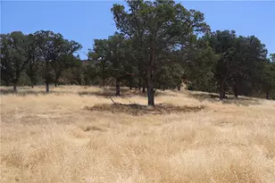 22986 Cascio Way, Lower Lake, CA 95457 - Photo 19