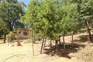 11444 Bottle Rock Rd, Kelseyville, CA 95451 - Photo 11