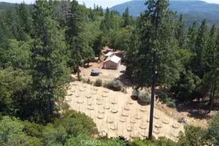 11444 Bottle Rock Rd, Kelseyville, CA 95451 - Photo 43