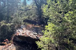 11444 Bottle Rock Rd, Kelseyville, CA 95451 - Photo 49