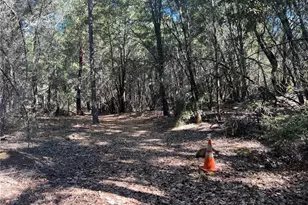 11444 Bottle Rock Rd, Kelseyville, CA 95451 - Photo 45