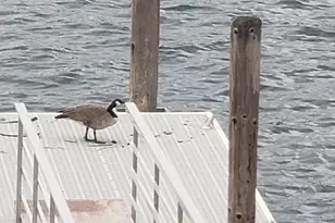 13130 Lakeshore Dr, Clearlake, CA 95422 - Photo 23