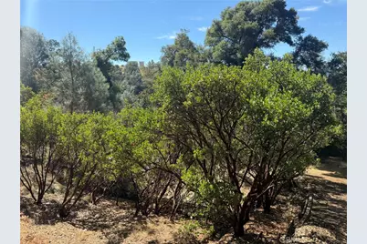 3293 Clay Street, Nice, CA 95464 - Photo 7