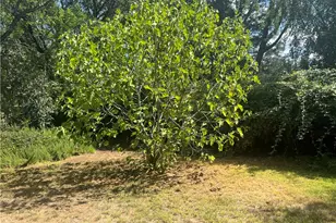 24019 Hilderbrand Dr, Middletown, CA 95461 - Photo 39