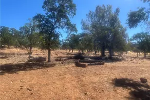 16095 Spruce Grove Rd, Lower Lake, CA 95457 - Photo 37