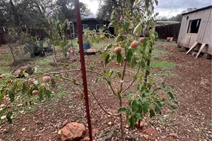 16095 Spruce Grove Rd, Lower Lake, CA 95457 - Photo 47