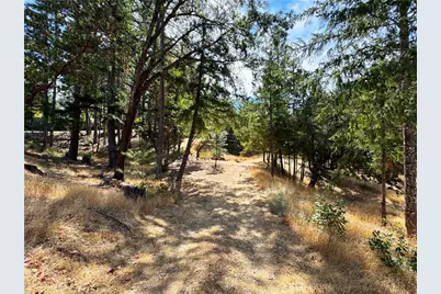 4101 Chinquapin Drive, Willits, CA 95490 - Photo 51