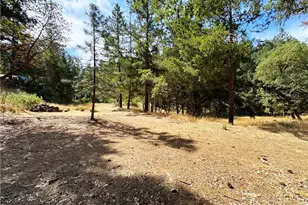 4101 Chinquapin Dr, Willits, CA 95490 - Photo 53