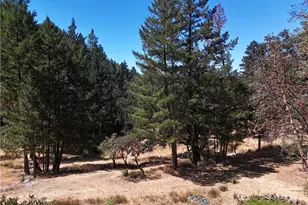 4101 Chinquapin Dr, Willits, CA 95490 - Photo 57