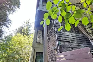 135 Redwood Ave, Occidental, CA 95419 - Photo 37